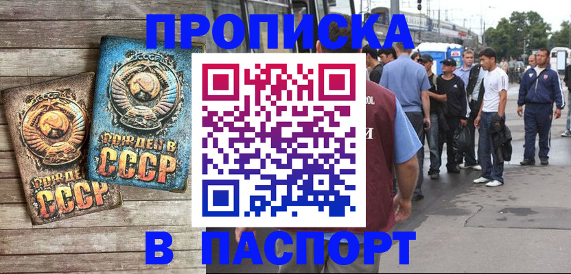 прописка штамп в Вышнем Волочке